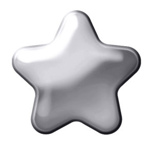 PLAIN STAR (SILVER SOLID EAR STUDS)